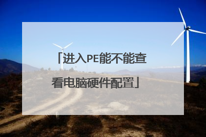 进入PE能不能查看电脑硬件配置