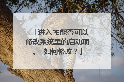 进入PE能否可以修改系统里的启动项。 如何修改？