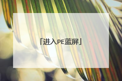 进入PE蓝屏