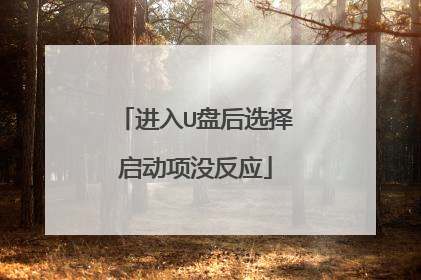 进入U盘后选择启动项没反应