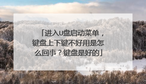 进入U盘启动菜单，键盘上下键不好用是怎么回事？键盘是好的