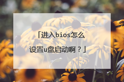 进入bios怎么设置u盘启动啊?