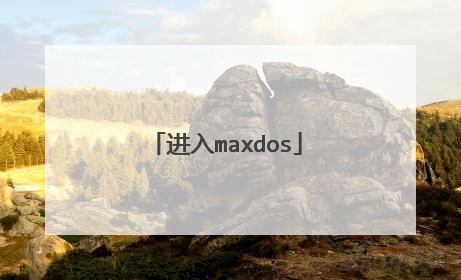 进入maxdos