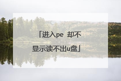 进入pe 却不显示读不出u盘