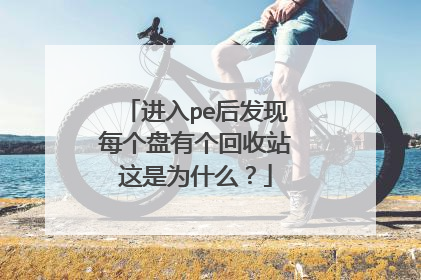 进入pe后发现每个盘有个回收站这是为什么？