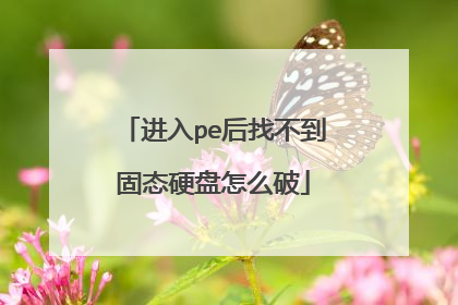 进入pe后找不到固态硬盘怎么破