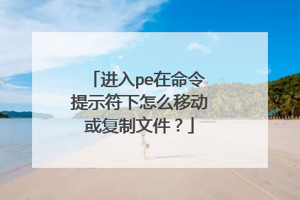 进入pe在命令提示符下怎么移动或复制文件？