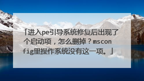 进入pe引导系统修复后出现了个启动项，怎么删掉？msconfig里操作系统没有这一项。