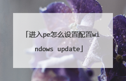 进入pe怎么设置配置windows update