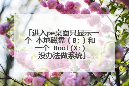 进入pe桌面只显示一个 本地磁盘(B:)和一个 Boot(X:) 没办法做系统