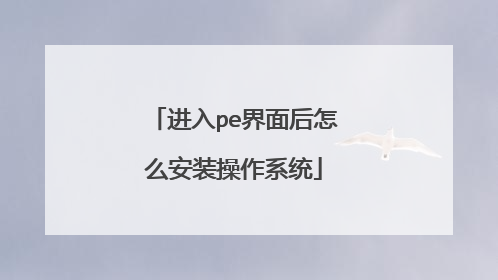 进入pe界面后怎么安装操作系统