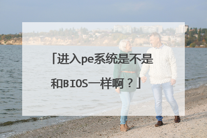 进入pe系统是不是和BIOS一样啊？