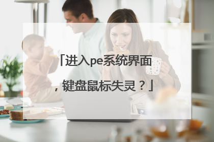 进入pe系统界面,键盘鼠标失灵?