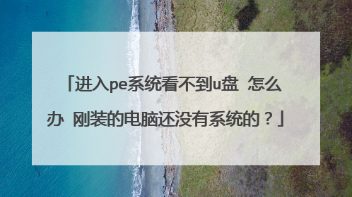 进入pe系统看不到u盘 怎么办 刚装的电脑还没有系统的？
