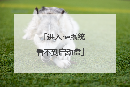 进入pe系统看不到启动盘