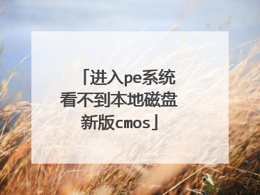 进入pe系统看不到本地磁盘新版cmos