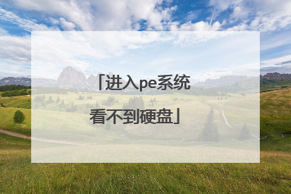 进入pe系统看不到硬盘
