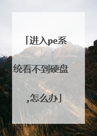进入pe系统看不到硬盘 ,怎么办
