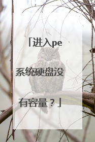 进入pe系统硬盘没有容量？