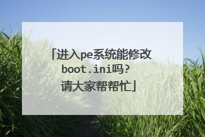 进入pe系统能修改boot.ini吗? 请大家帮帮忙