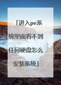 进入pe系统里面看不到任何硬盘怎么安装系统