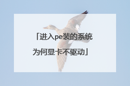 进入pe装的系统为何显卡不驱动