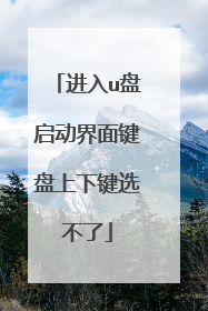 进入u盘启动界面键盘上下键选不了