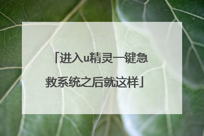 进入u精灵一键急救系统之后就这样