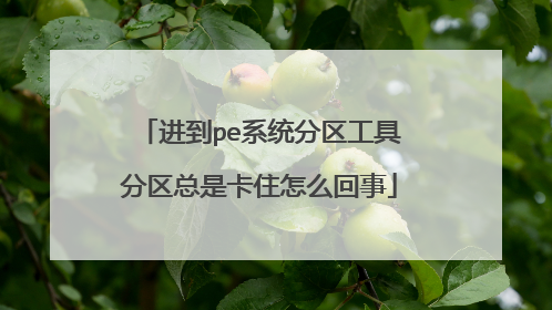 进到pe系统分区工具分区总是卡住怎么回事
