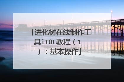 进化树在线制作工具iTOL教程(1):基本操作