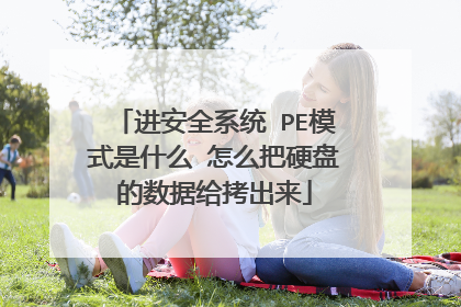 进安全系统 PE模式是什么 怎么把硬盘的数据给拷出来