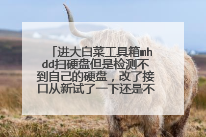 进大白菜工具箱mhdd扫硬盘但是检测不到自己的硬盘,改了接口从新试了一下还是不行怎么搞?