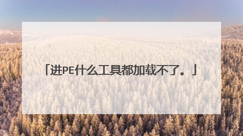 进PE什么工具都加载不了。