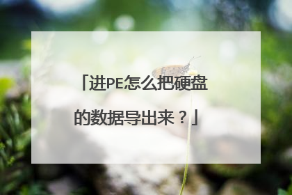 进PE怎么把硬盘的数据导出来？