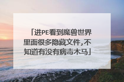 进PE看到魔兽世界里面很多隐藏文件,不知道有没有病毒木马