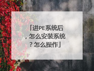 进PE系统后，怎么安装系统？怎么操作