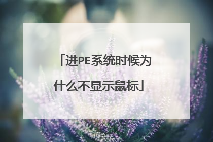 进PE系统时候为什么不显示鼠标