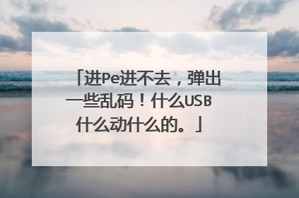 进Pe进不去，弹出一些乱码！什么USB什么动什么的。