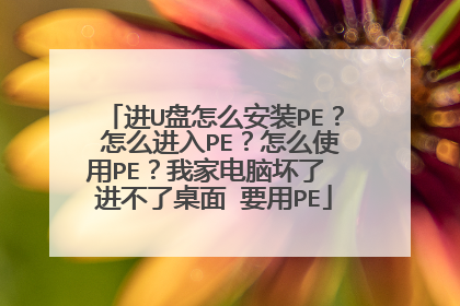 进U盘怎么安装PE? 怎么进入PE?怎么使用PE?我家电脑坏了 进不了桌面 要用PE