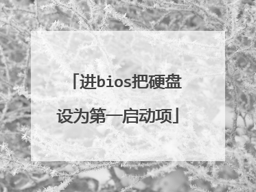 进bios把硬盘设为第一启动项