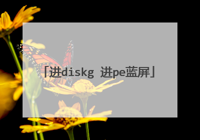 进diskg 进pe蓝屏