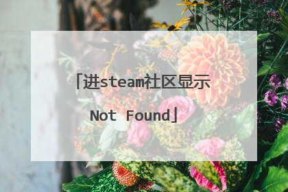 进steam社区显示Not Found