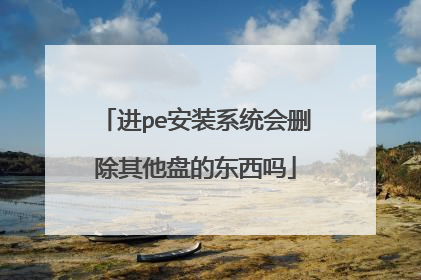 进pe安装系统会删除其他盘的东西吗