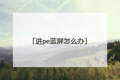 进pe蓝屏怎么办