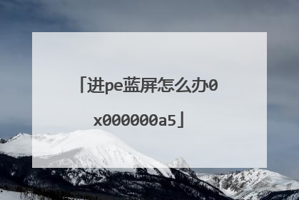 进pe蓝屏怎么办0x000000a5