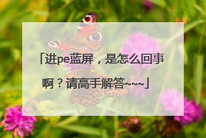 进pe蓝屏，是怎么回事啊？请高手解答~~~