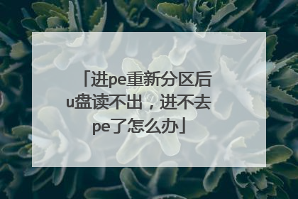 进pe重新分区后u盘读不出,进不去pe了怎么办