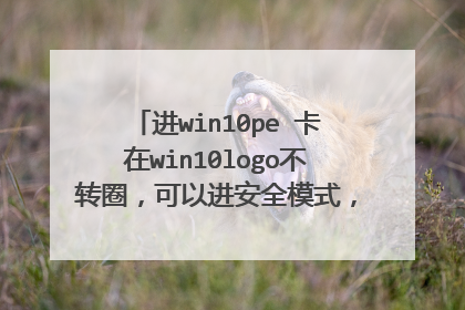 进win10pe 卡在win10logo不转圈,可以进安全模式,硬盘全拔掉了只插的U盘,内存条也换过,请教各位大神!!
