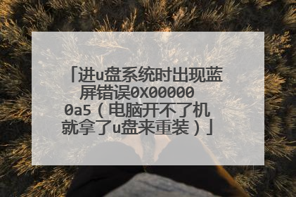 进u盘系统时出现蓝屏错误0X000000a5(电脑开不了机就拿了u盘来重装)