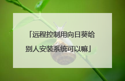 远程控制用向日葵给别人安装系统可以嘛